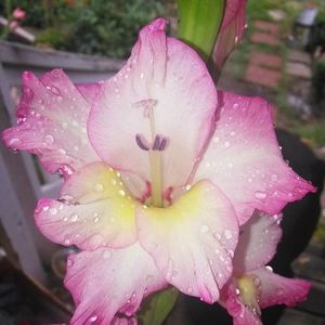 Meet your Posher, Deanna